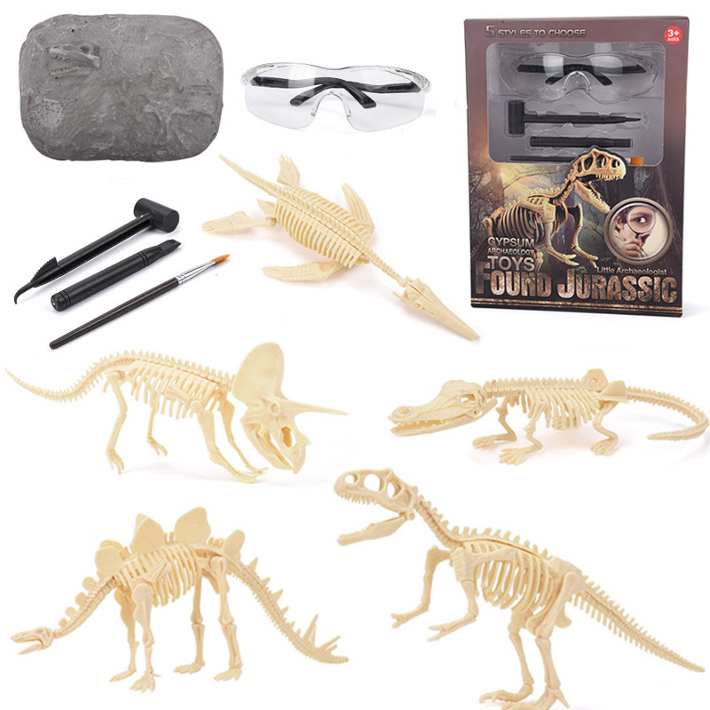 Model Kit Girls - Kit de Escavação de Fósseis de