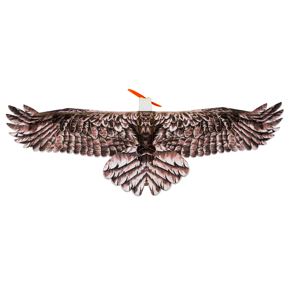 DW Hobby Eagle II EPP Avião RC - Model Kit Expert avaliação e preço